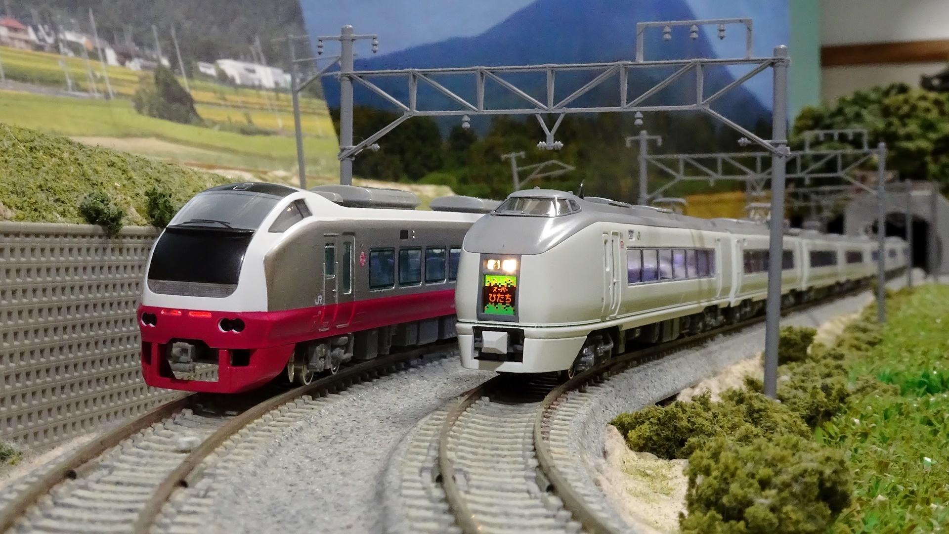 煮*物様 Bトレ E653系フレッシュひたち(赤) Bトレインショーティー