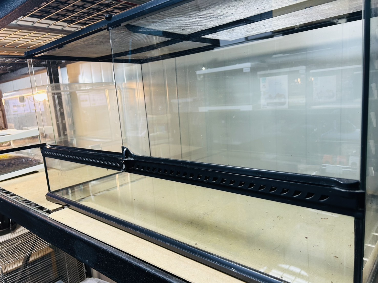 美品中古 ‼ グラステラリウム9045 !! - ☆kenny東京本店☆