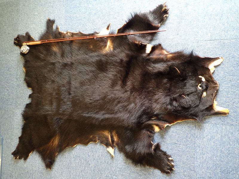 特選そして太鼓判な3種のクマの毛アレコレ販売のお知らせ。 | BIZEN