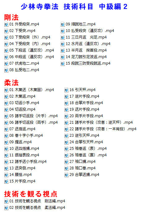 こんなん買ってみた！ 第二回 幻のDVD編 - 少林寺拳法 姫路書写