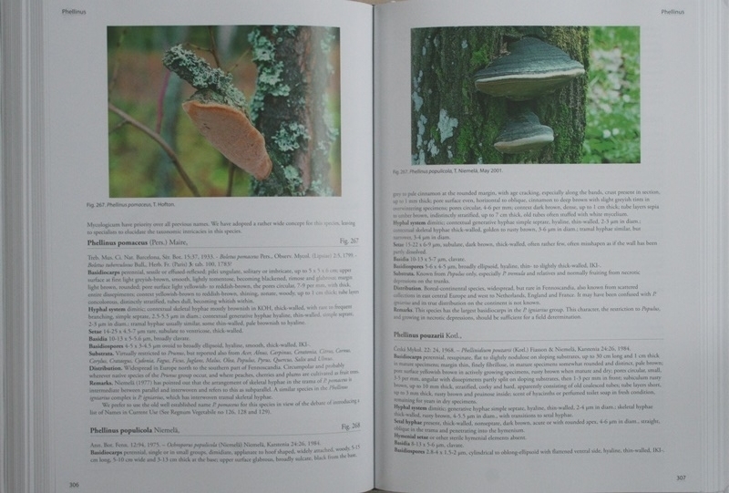 Poroid fungi of Europe 2nd Edition」（ヨーロッパの管孔をもつ菌類