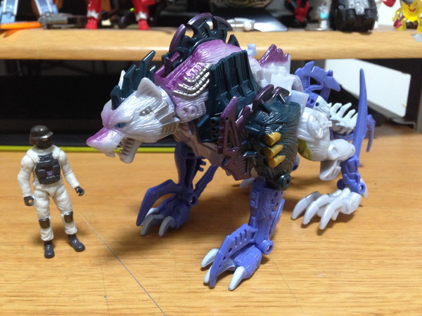 イヌっぽいけど実はネコに近い『フロストバイト(ユニバース)』 | DDMTF