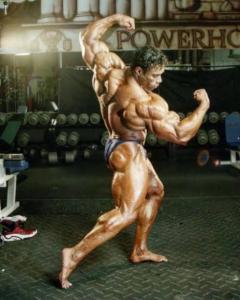 ボディビルのポージングを学ぶ - 堺部元行 ヘッドパーソナルトレーナー