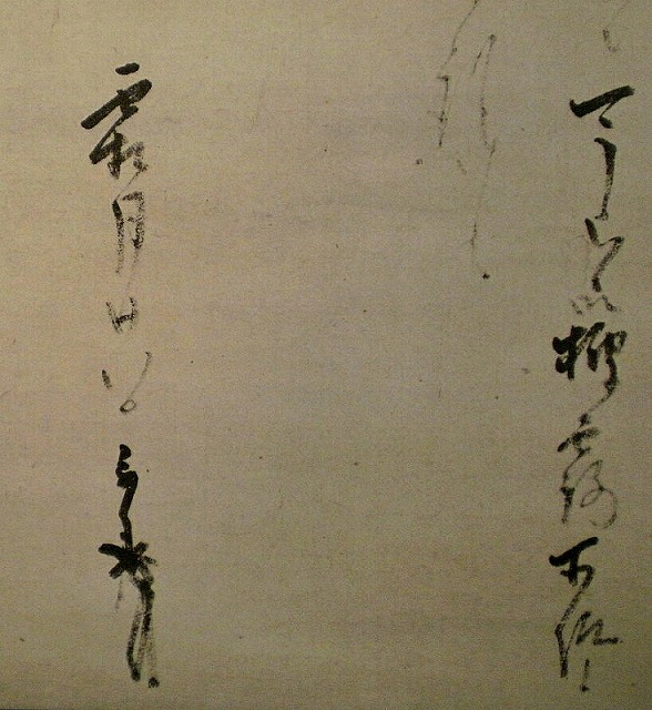 利休掛軸「早梅の文」 | 茶道具通販 釧路 末広屋の商品写真