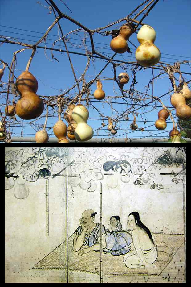 227 ひょうたん その3 | うちのガラクタ