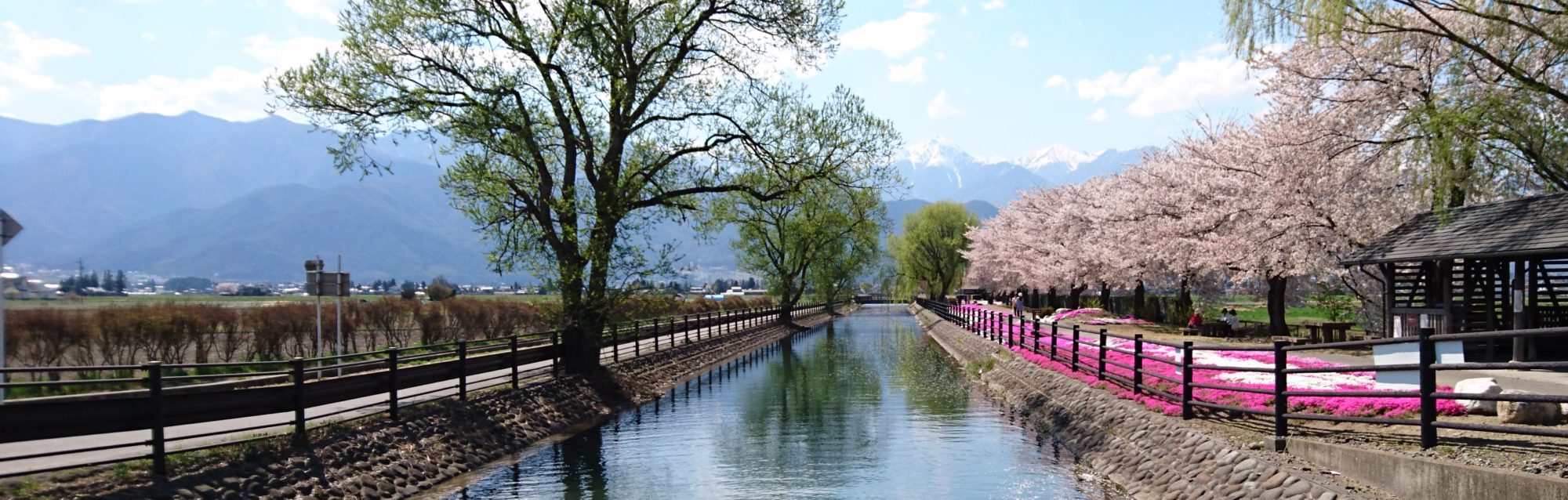 生坂村で「ぶどうカード」第2弾ができました | 来て！観て！松本『彩