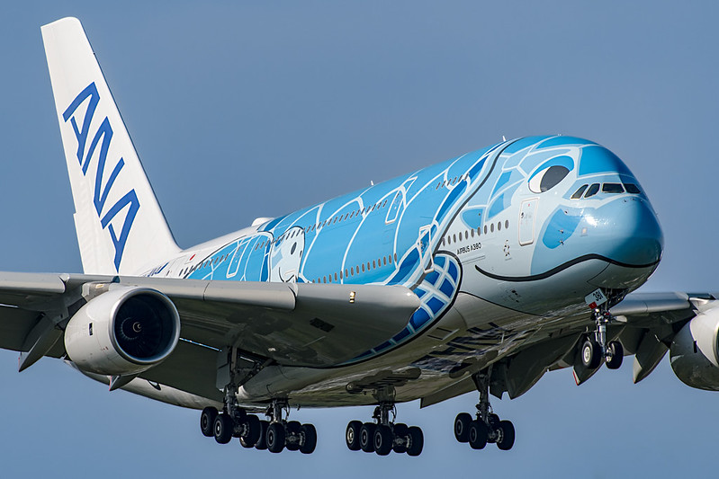 超レアANAエアバスA380大型モデル フライングホヌ3号機カイくん1/160