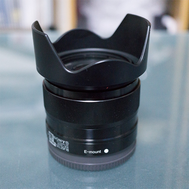 コスパ最強】初めての単焦点として選んだSEL35F18が最高すぎた