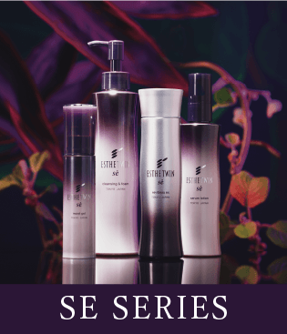 ESTHE TWIN B-2000 - ホームエステ美容器 -