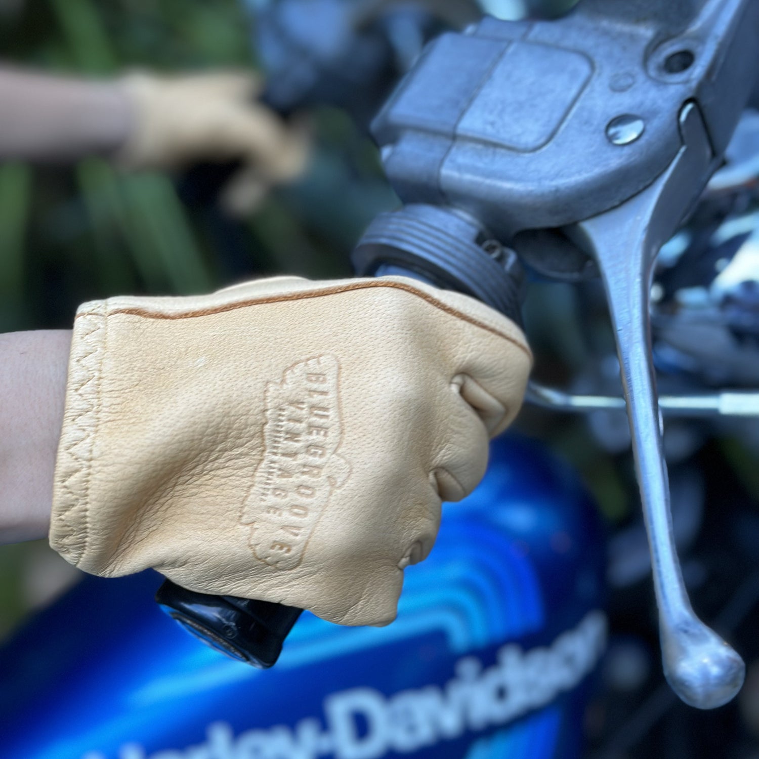 BG x Lamp Grove - Camel – BLUE GROOVE