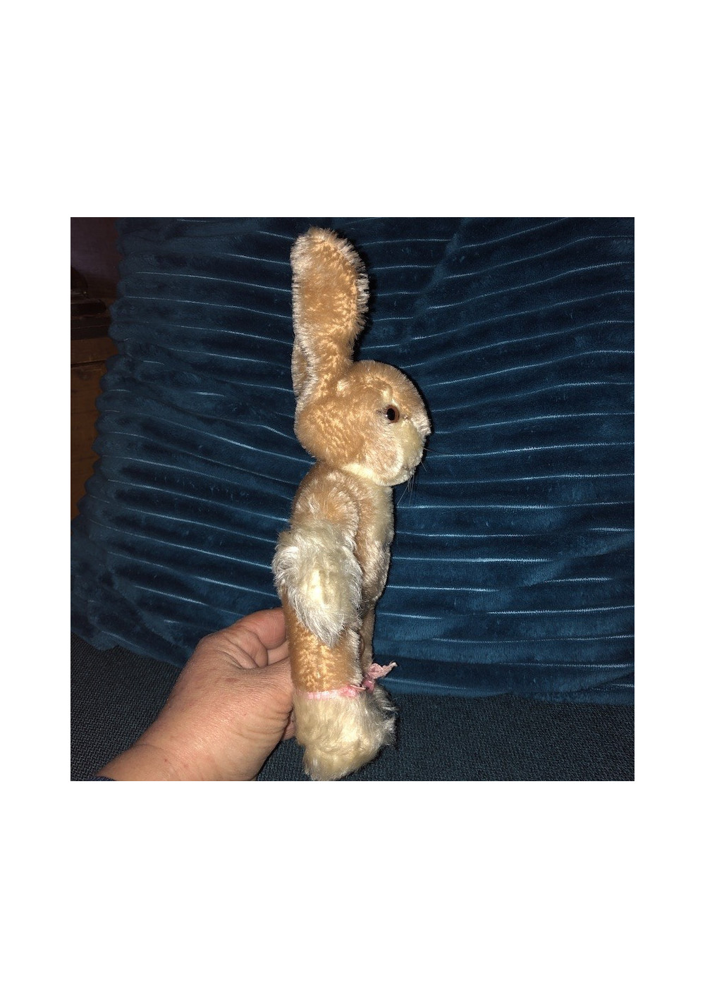 Rabbit Steiff 50s/60s |Baby Rabbit Sassy | Steiff