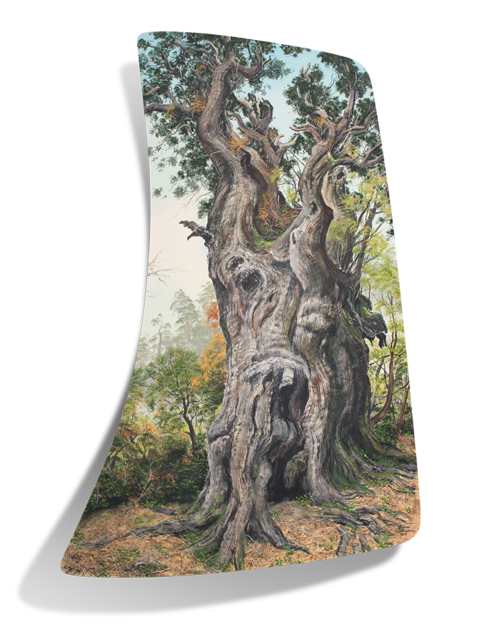 風景画家 Brian Wiliams ブライアン・ウィリアムズ