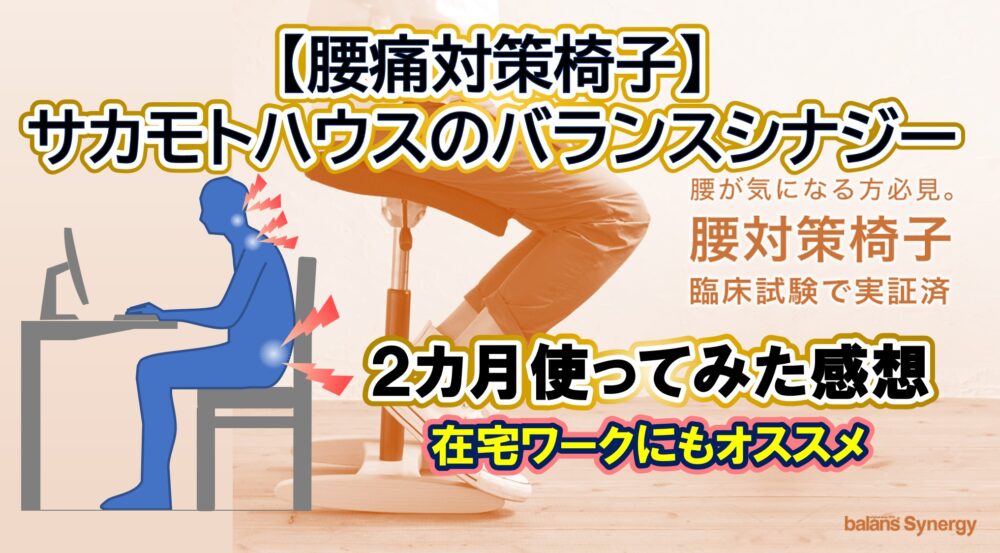 腰痛対策椅子バランスラボのバランスチェア】在宅ワークにおすすめ