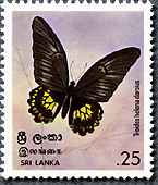 スリランカの蝶切手