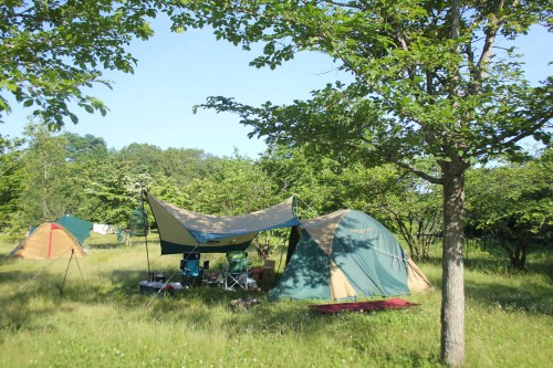 レビュー】コールマン BCクロスドーム270 | キャンプ初心者向け総合