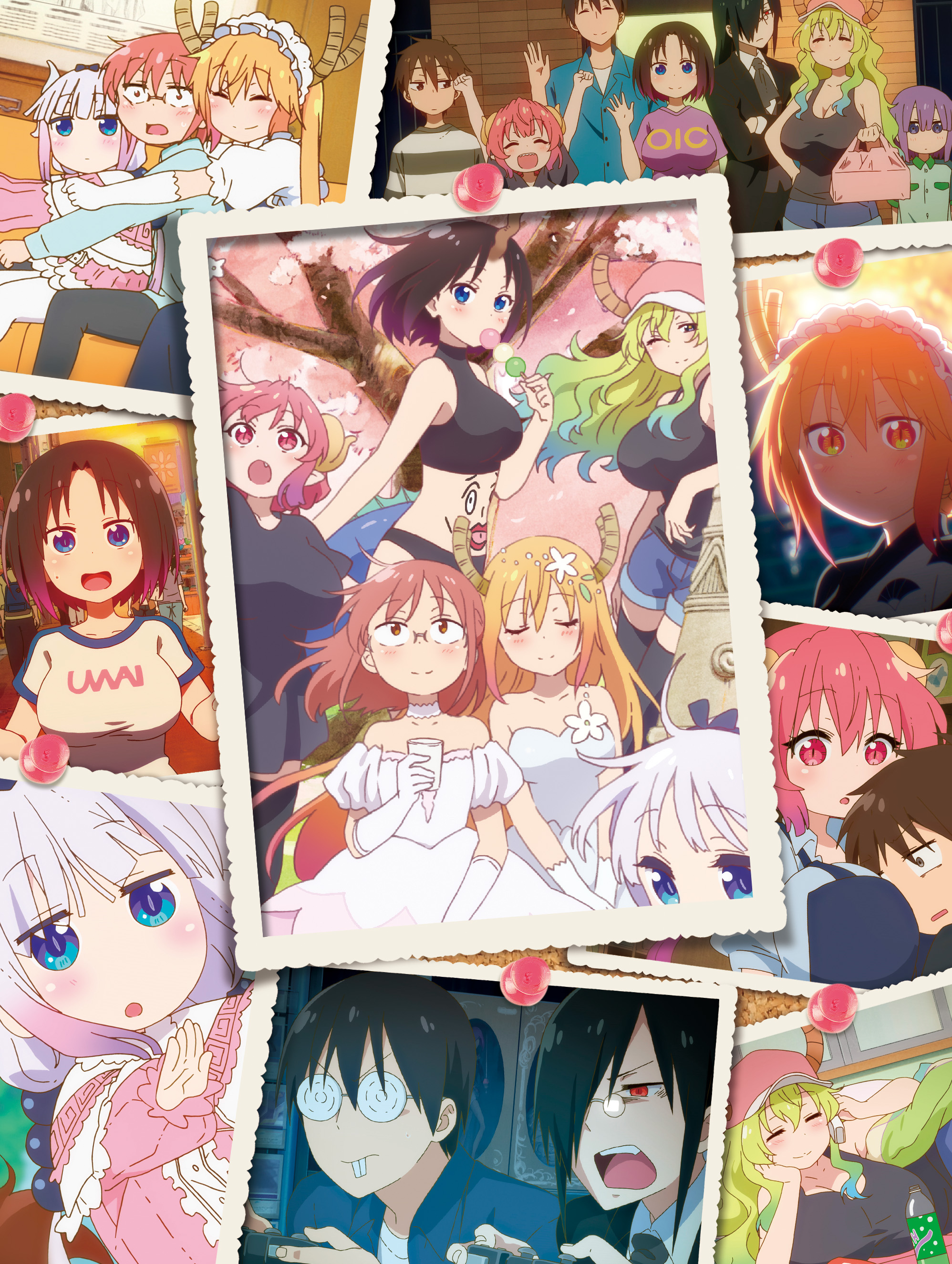 小林さんちのメイドラゴン (5) | きゃにめ