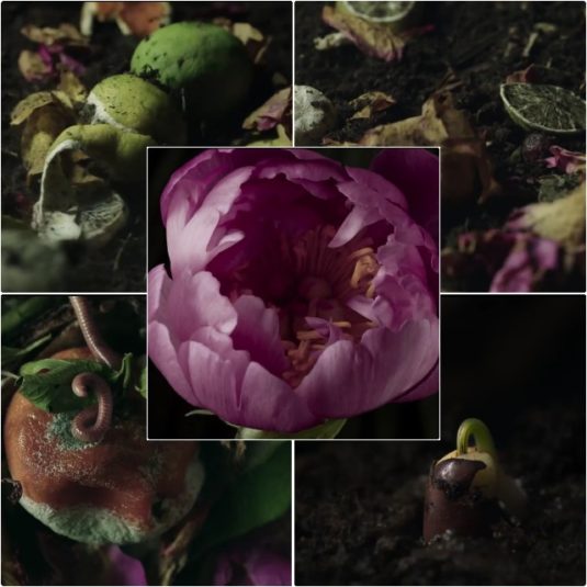 Etat Libre d'Orange I Am Trash Les Fleurs du Déchet Review