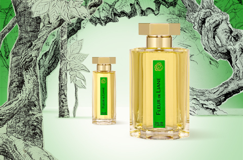 ラルチザン】フルール ド リアン（ベルトラン・ドゥシュフール