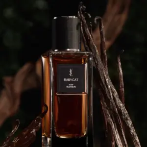 メレリオ × ロス アンド ロス】クール ヴァンドーム（ドミニク