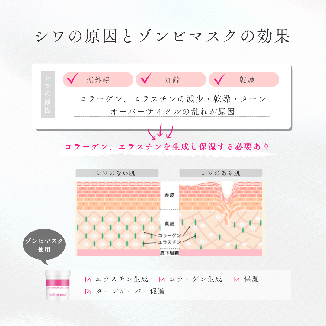 エステマックス ゾンビマスク フェイスパック 小分け ゾンビマスク-エステ化粧品の卸/仕入れならビーウェイブ