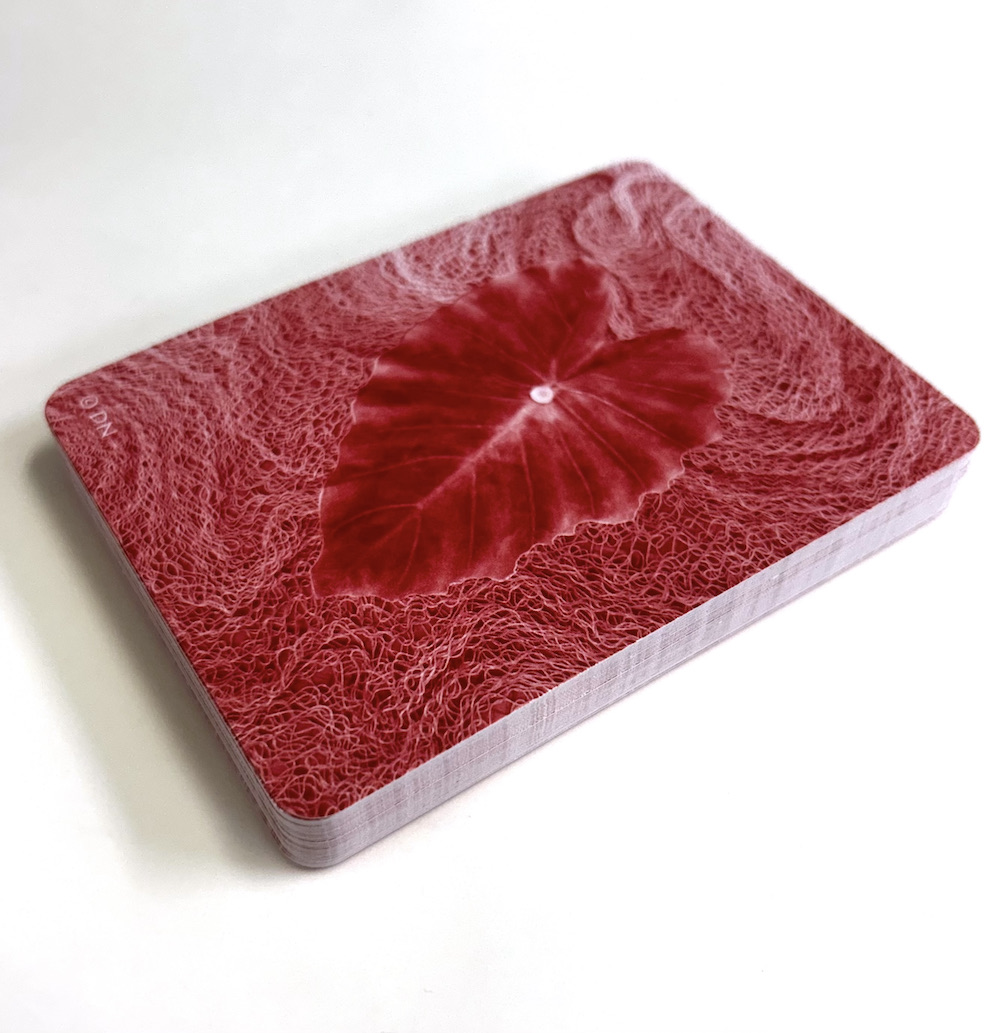 マナ・カード～ハワイの叡智の力～ 日本語解説書付き（中古-良い