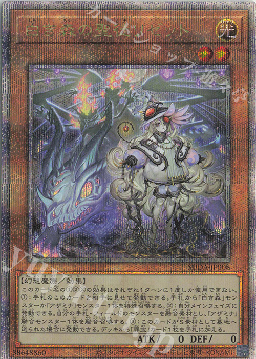 QCSE 白き森の聖徒リゼット 販売 | [SUDA] SUPREME DARKNESS | 遊戯王