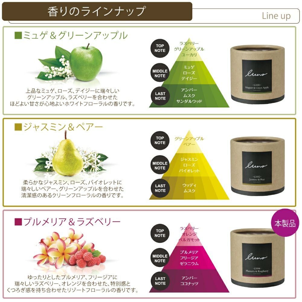 G994 ルーノフォレスト ゲル プルメリア&ラズベリー | カーメイト 公式