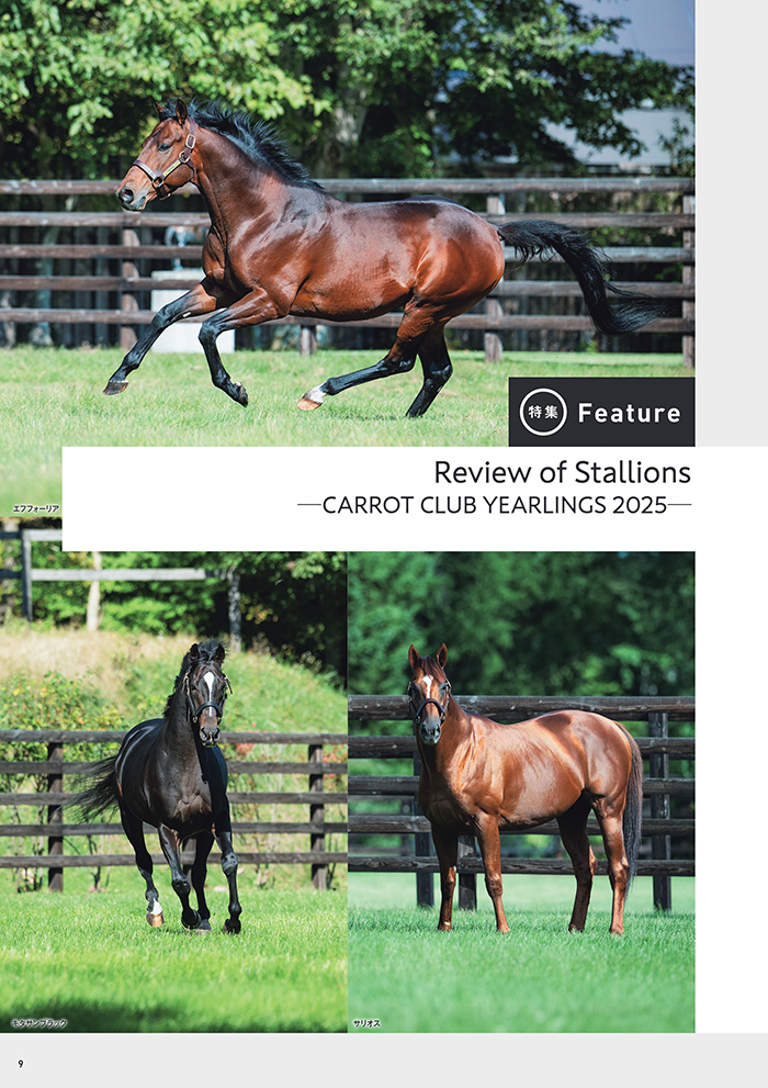 Topics & News - CARROT CLUB -