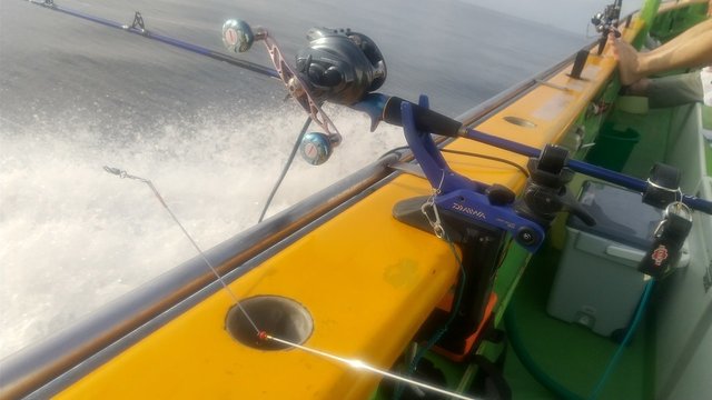 ダイワ ライトゲームロッド 極鋭 LG EX 73MH-185(2ピース)(73MH-185