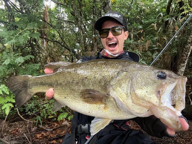 ダイワ バスロッド スティーズ SC C69M+-ST ファイヤーウルフ (ベイト