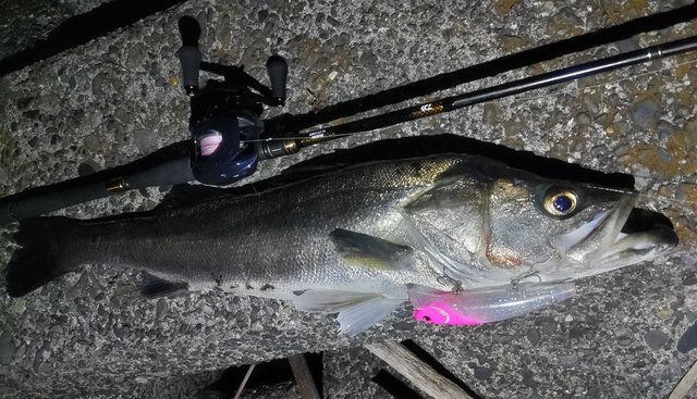 ダイワ シーバスロッド モアザン ブランジーノ EX AGS 93MHB(ベイト 2