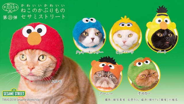 セサミストリートのキャラに変身できる、かわいいねこのかぶりもの