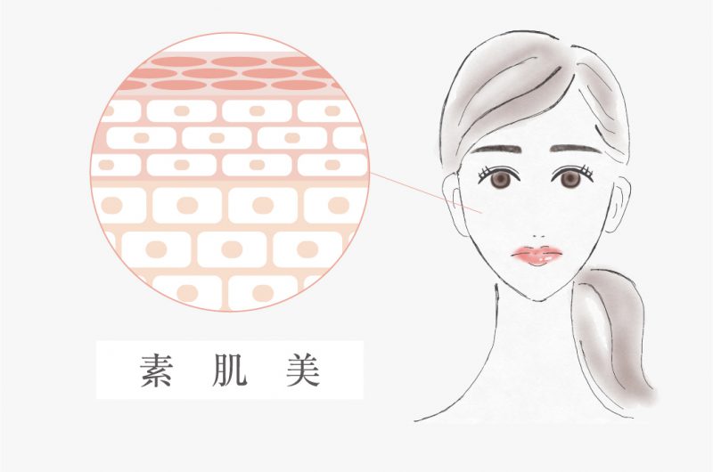 美しい素肌をはぐくむカシー化粧品 | 公式サイト | 