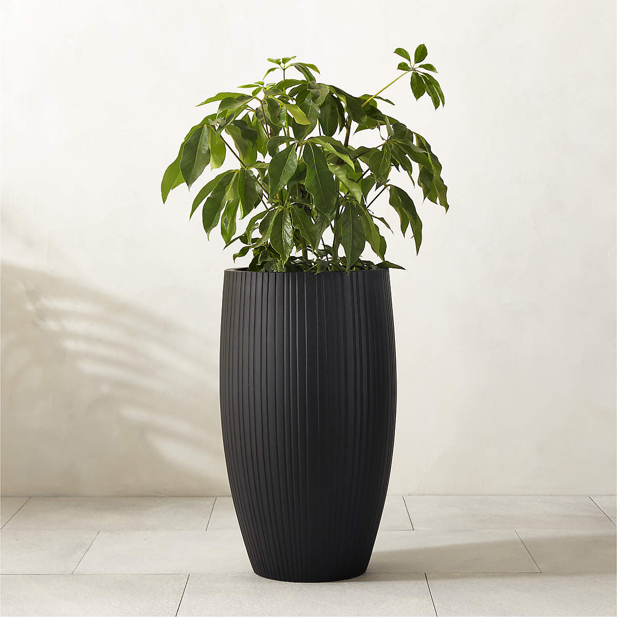 Zadie Black Resin Indoor/Outdoor XL Planter 30.75
