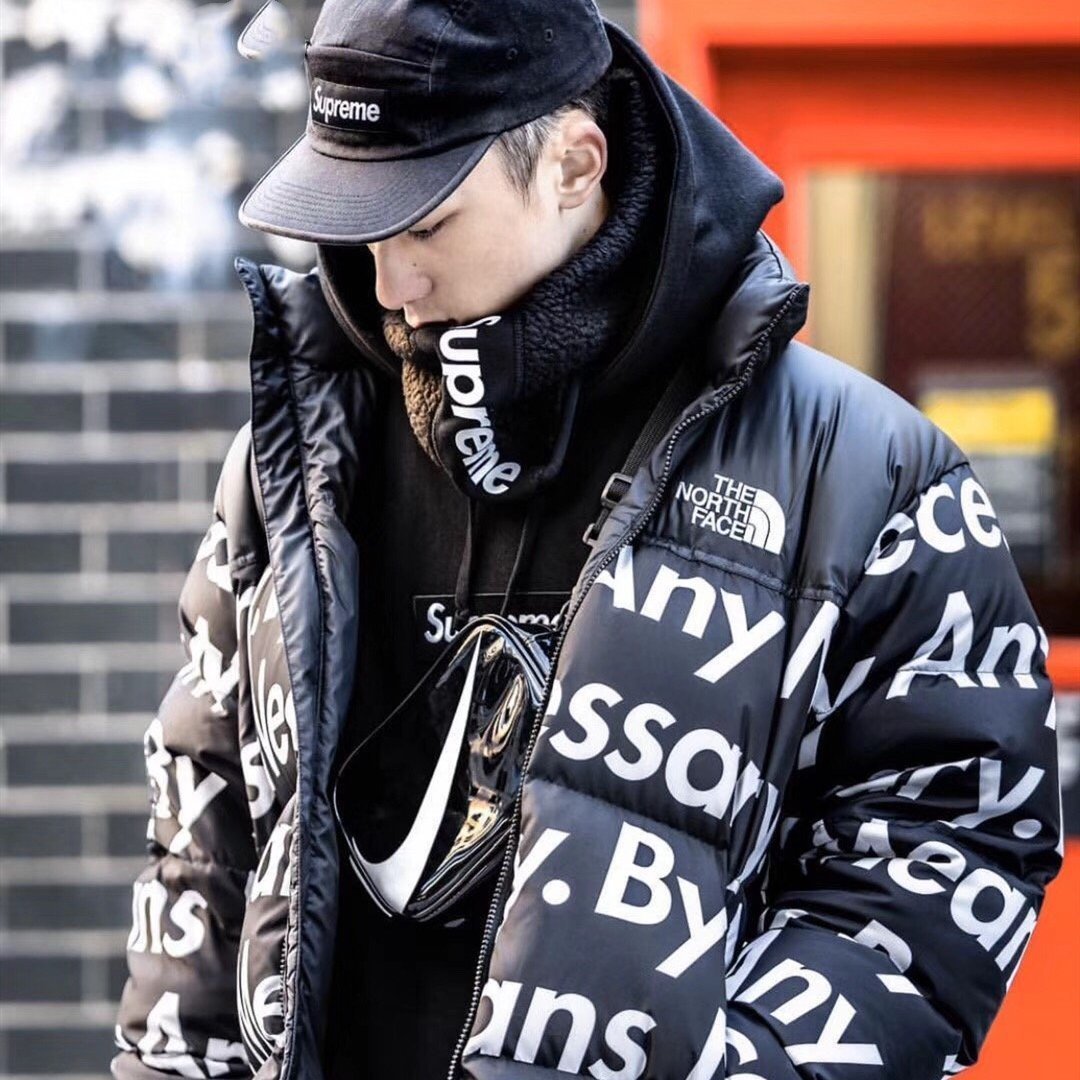 Supreme The North Face By Any Means Nuptse Jacket ヌプシ (Supreme
