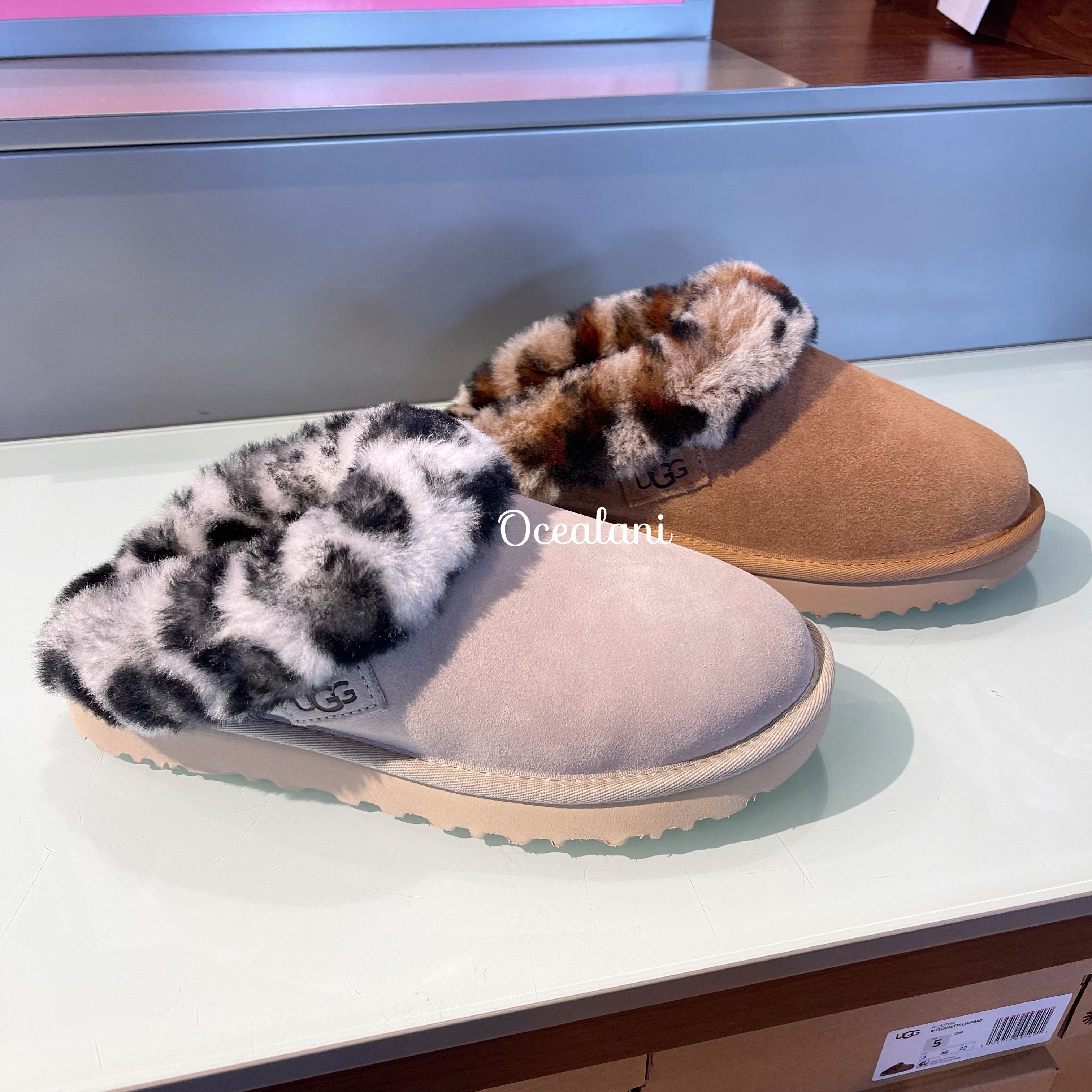 UGG] スリッポン レオパード柄♪ CLUGGETTE LEOPARD (UGG/スリッポン