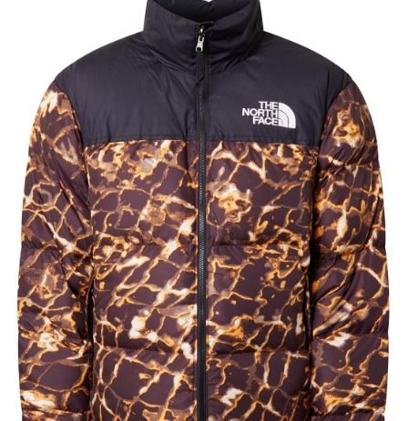 ☆ノースフェイス☆希少限定デザイン☆1996ヌプシダウンJACKET☆ (THE