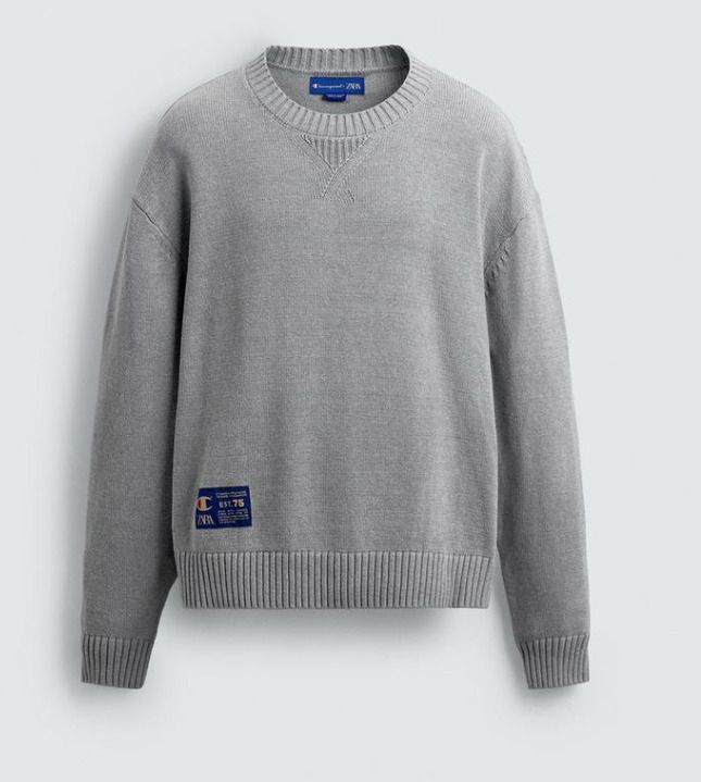 ZARA チャンピオン ストライプ パッチ ジャージー セーター 限定 (ZARA