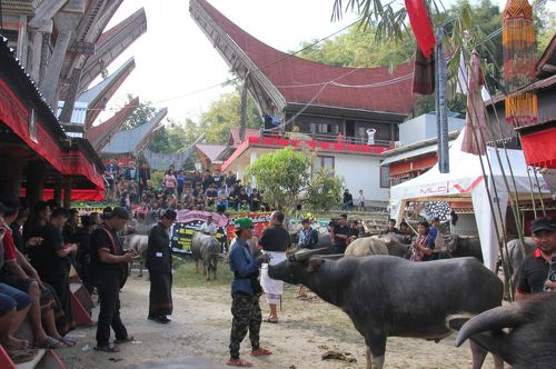スラウェシ島 タナ・トラジャの旅（2）～ランブ・ソロ（葬送儀礼