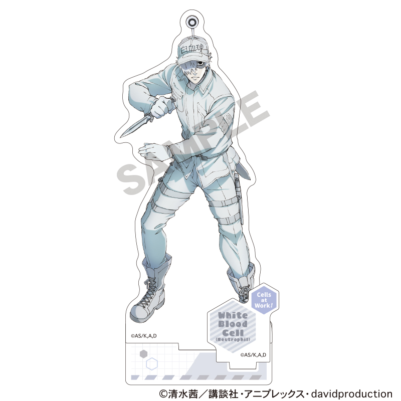 はたらく細胞_アクリルスタンド 白血球 | 公式グッズ・公式ライセンス