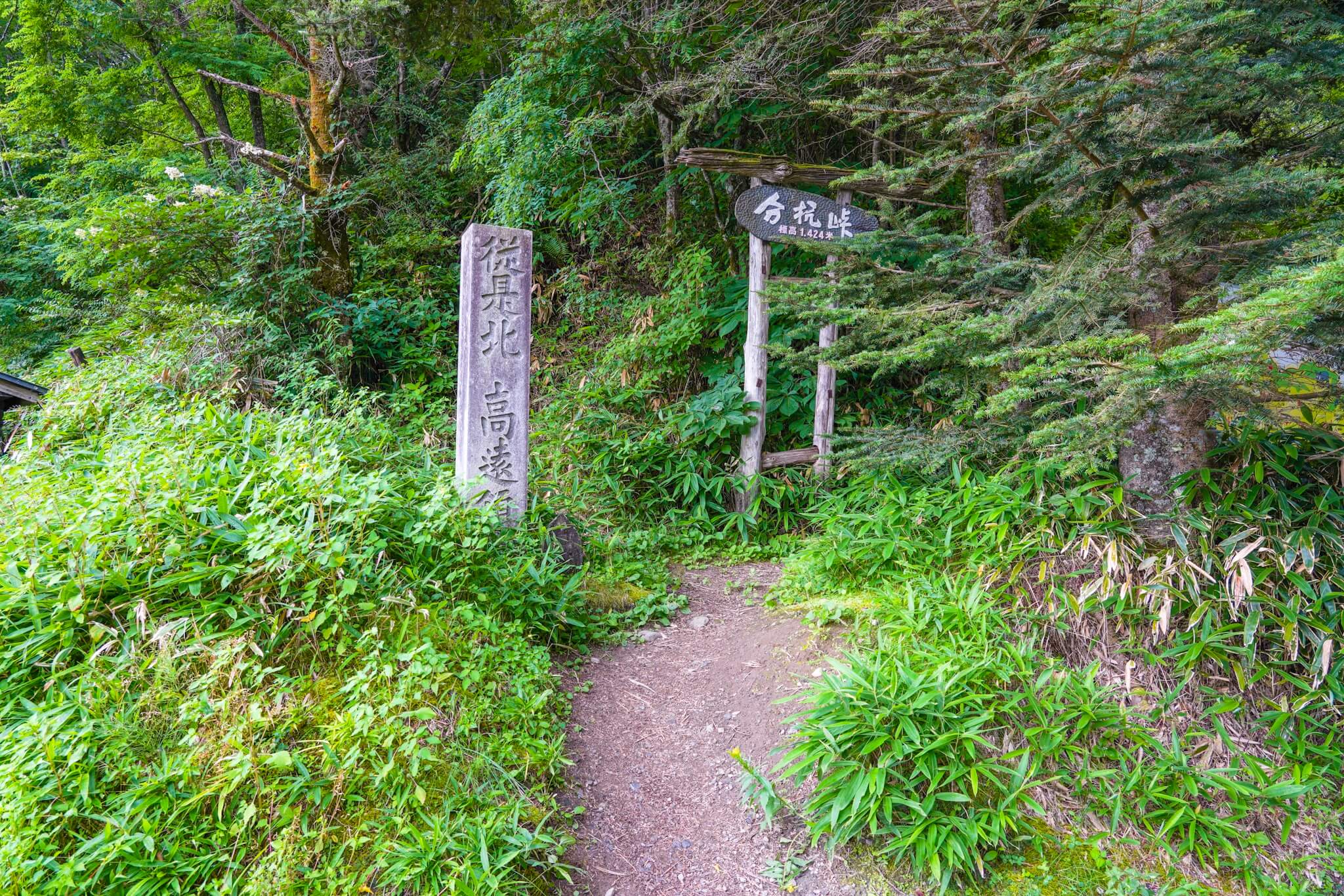 分杭峠「ゼロ磁場」パワースポットを徹底検証｜日本の峠＃2 | MOBY