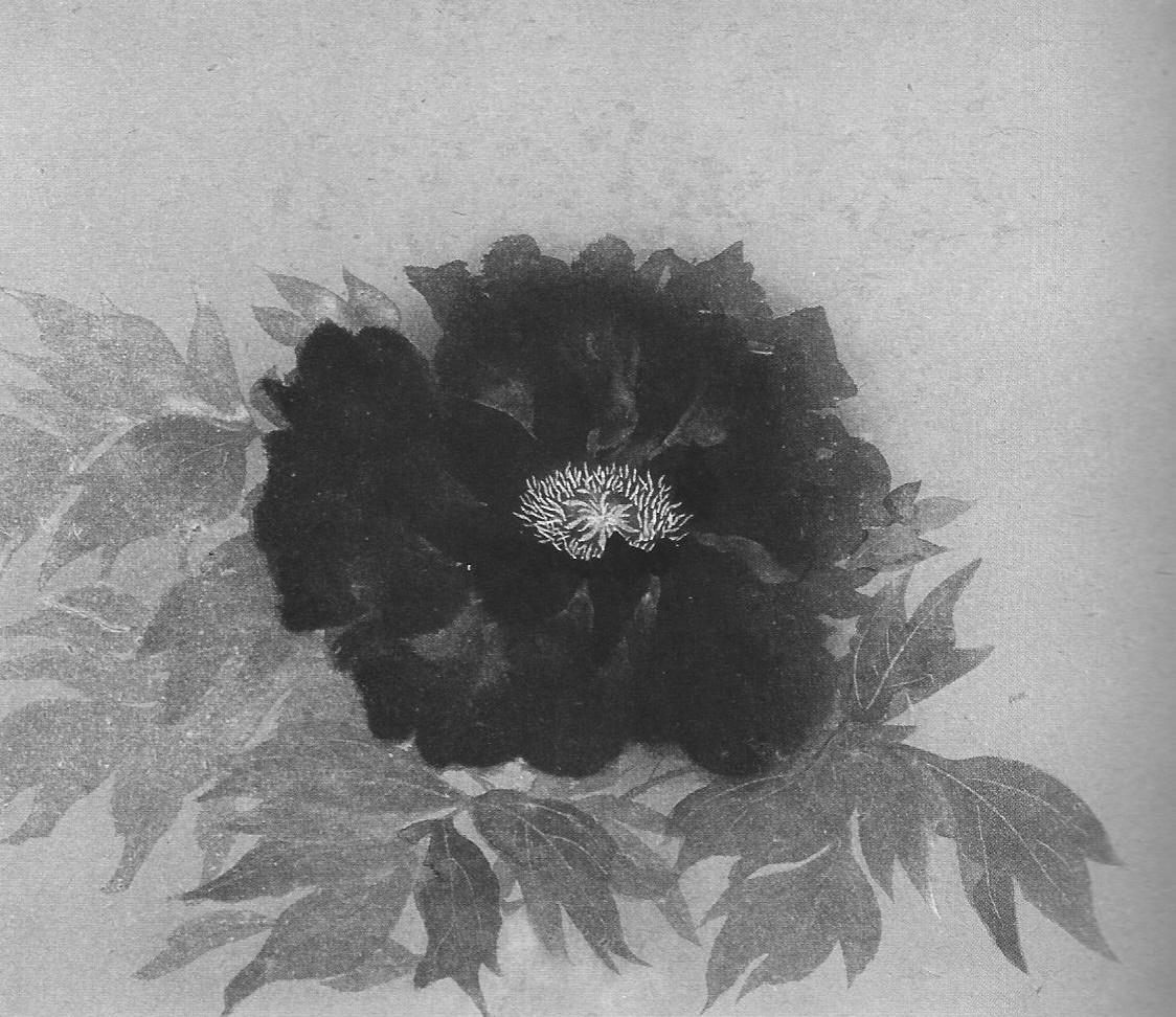 水墨画教室】墨で和紙に描く水墨画！幽玄の世界を体験してみませんか