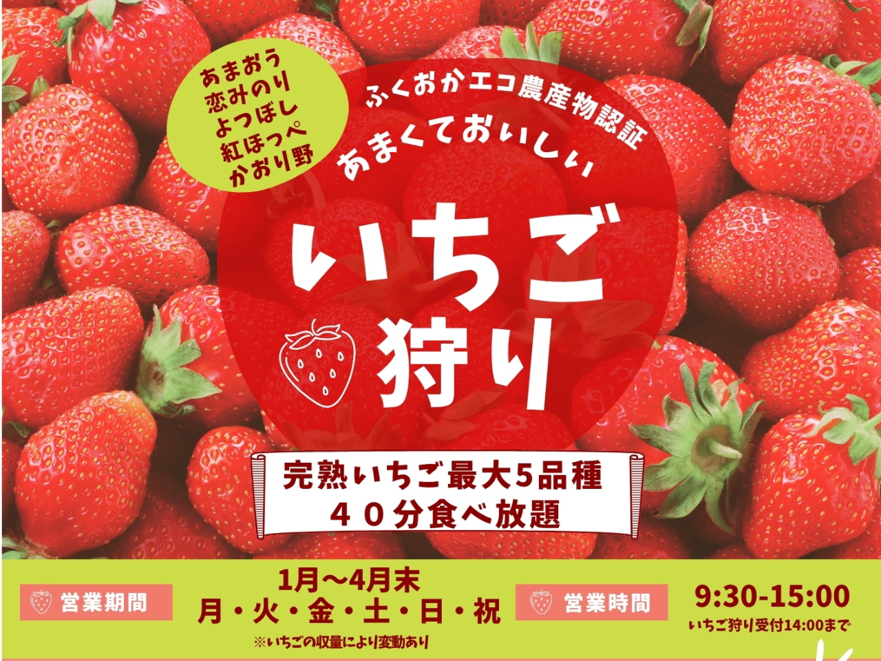 柳川/40分食べ放題】あまおうなど最大5種類の食べ比べを楽しめる