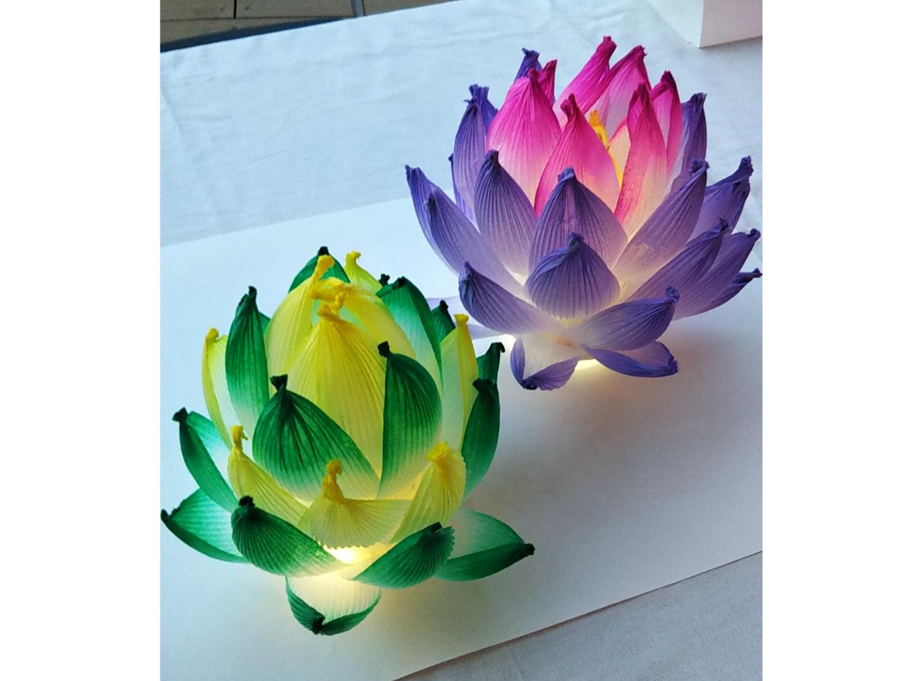 8/4.9/1（日）図書館店/蓮紙ランプ制作体験＊50分間《カップル