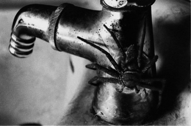 猪瀬 光 - アーティスト | AKIO NAGASAWA