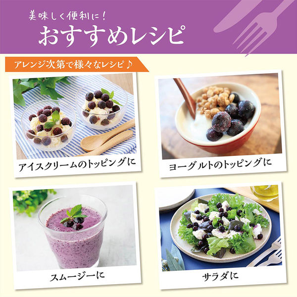 ニチノウ [冷凍] mikata 国産ブルーベリー 100g×20袋 4560452790714 1