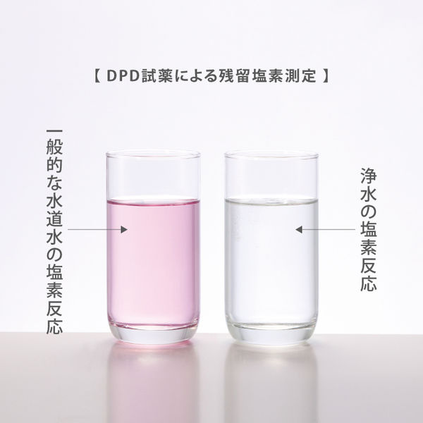 タカギ 家庭用浄水器 ナチュラル用交換カートリッジ2個セット H885R2 1
