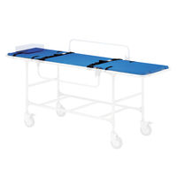 日進医療器 浴室用ストレッチャー昇降式・背上げ TY225ES TY225ESSB 1