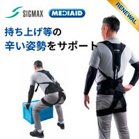 メディエイド アシストギア 腰2 M 307622 1着 日本シグマックス