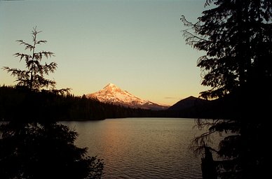 Lens: Super Lentar 28mm f/2.8 · Lomography